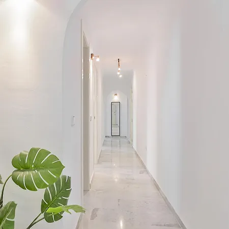 Apartment C9 Roomy Luminous 5 Bedroom In Town *